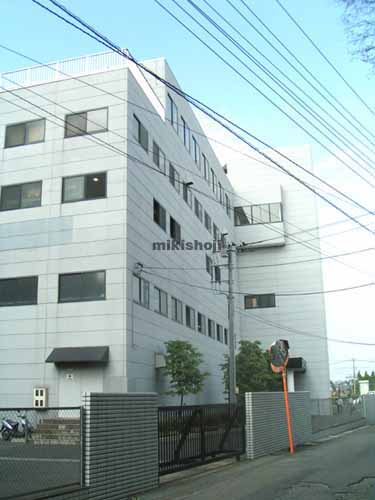 テネメント・ニッカンビル 外観