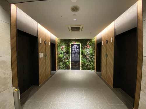 ＴＨＥ　ＰＥＡＫ　ＳＨＩＮＳＡＩＢＡＳＨＩ エントランス1