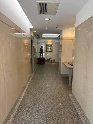 小川町メセナビル エントランス2