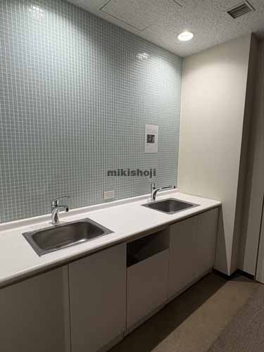 ＫＤＸ豊洲グランスクエア 水回り3